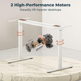 FitStand Dual Motor Standing Desk, Large Stand Up Desk, 79x31 Inches Electric Sit Stand Desk, 4 Memory Preset Adjustable Height Desk Home Office Desks(White) FitStand