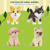 Pipe Cleaners Craft kit, A Pipe Cleaner kit Suitable for Beginners. It Includes a Kits for Making The Shapes of 4 Dogs and Comes with Simple and Easy-to-Understand Video tutorials. MOREJMTT