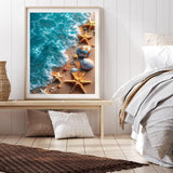 xackcme Beach Paint by Numbers for Adults - Starfish Paint by Number on Canvas Without Frame, DIY Seashell Oil Painting for Gift Home Wall Decor (16x20 inch) xackcme