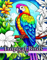Tropical Birds Coloring Book for Adults Fun Facts on 100 Pages with Amazing Birds of Paradise: Parrot, Toucan, Peacock, Macaw, Flamingo, Owl, Pelican, ... Journey into the World of Feathered Wonders) Majosta