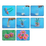 Crystal Flower Growing Kit - Crafts for Girls Ages 6-8 - Create Flowers Crystals Science Experiment Kit - STEM Educational Toys Gifts for 6+ Eggbox