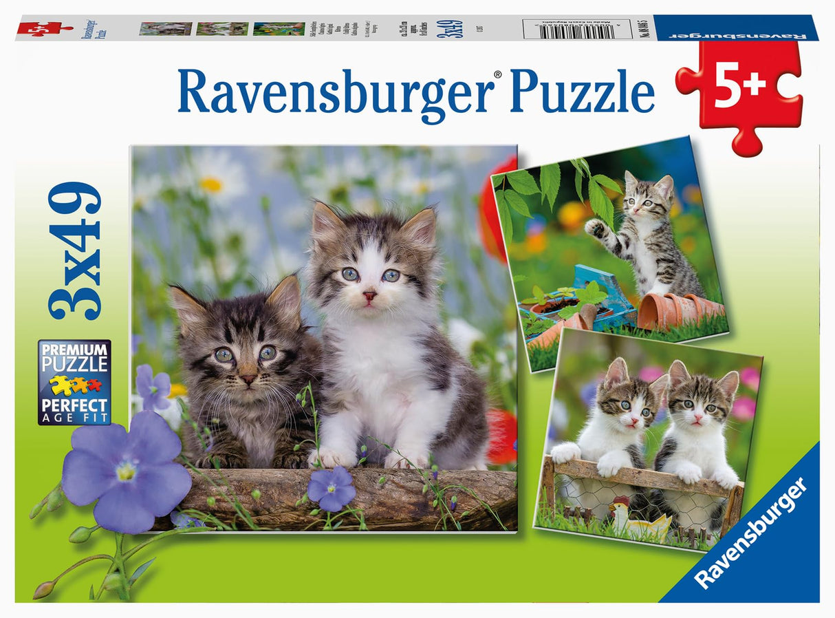 Ravensburger Cuddly Kittens 3 x 49 Piece Jigsaw Puzzle Set for Kids - 08046 - Every Piece is Unique, Pieces Fit Together Perfectly Ravensburger