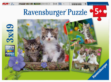 Ravensburger Cuddly Kittens 3 x 49 Piece Jigsaw Puzzle Set for Kids - 08046 - Every Piece is Unique, Pieces Fit Together Perfectly Ravensburger