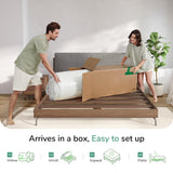 Novilla Queen Mattress, 6 Inch Queen Memory Foam Mattress for Pressure Relief & Comfort Sleep, Removable Washable Mattress Cover,CertiPUR-US Certified Mattress Queen，Medium Firm Novilla