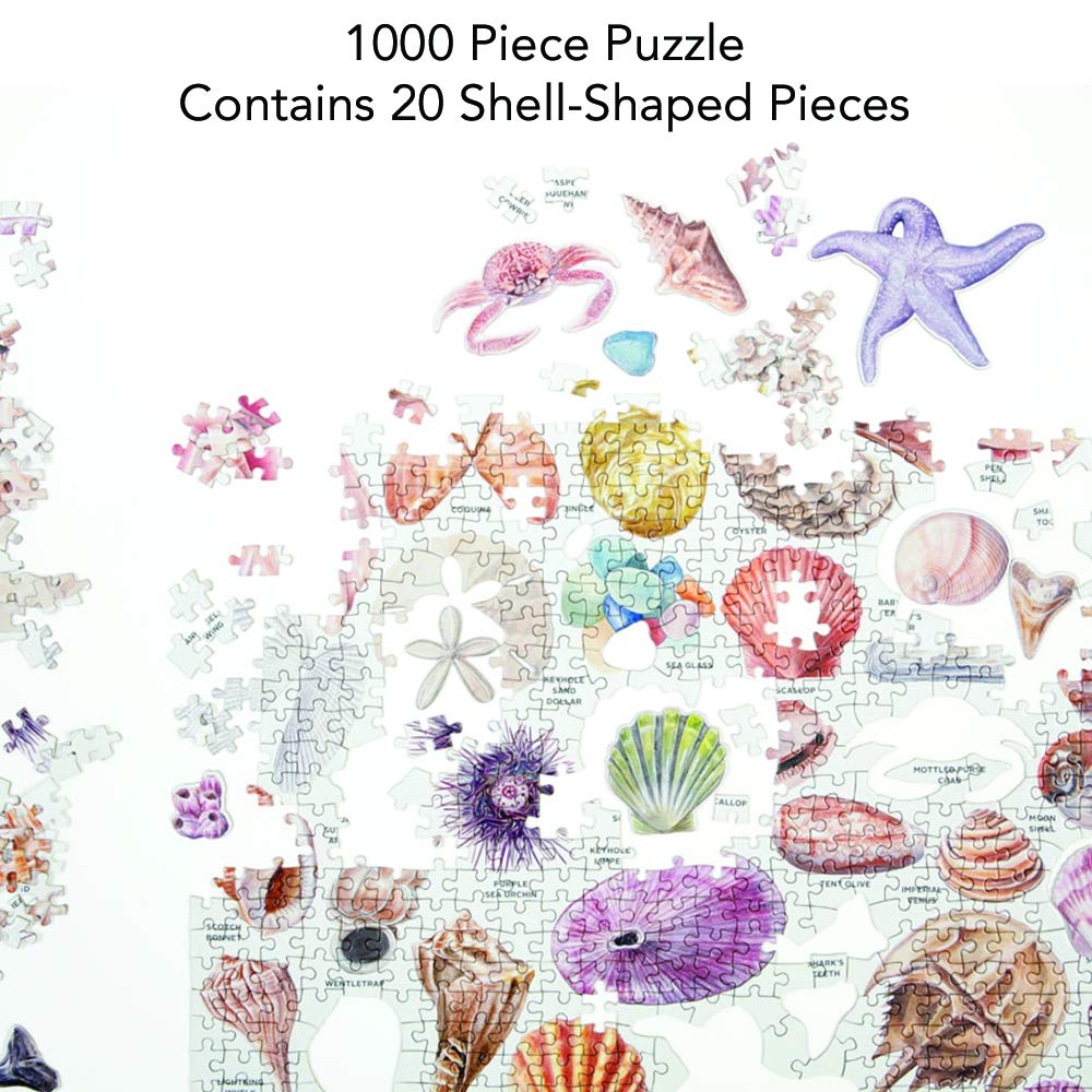 Galison Beachcombers Companion 1000 Piece Jigsaw Puzzle for Adults, Beach Puzzle with Colorful Ocean Scenery Galison