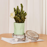 VIVIRBIEN 3PCS Wood Risers for Decor Mini Wooden Stool Display Stand with Removable Feet Farmhouse Rustic Decor Risers for Display Decorative Wood Pedestal Stand for Candles, Plants, Cups VIVIRBIEN