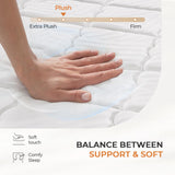 Sweetnight 14 Inch Queen Mattress in a Box for Motion Isolation & Body Support, Plush Hybrid Queen Size Mattresses with Comfort Foam & Individual Pocket Innerspring, CertiPUR-US Certified Sweetnight