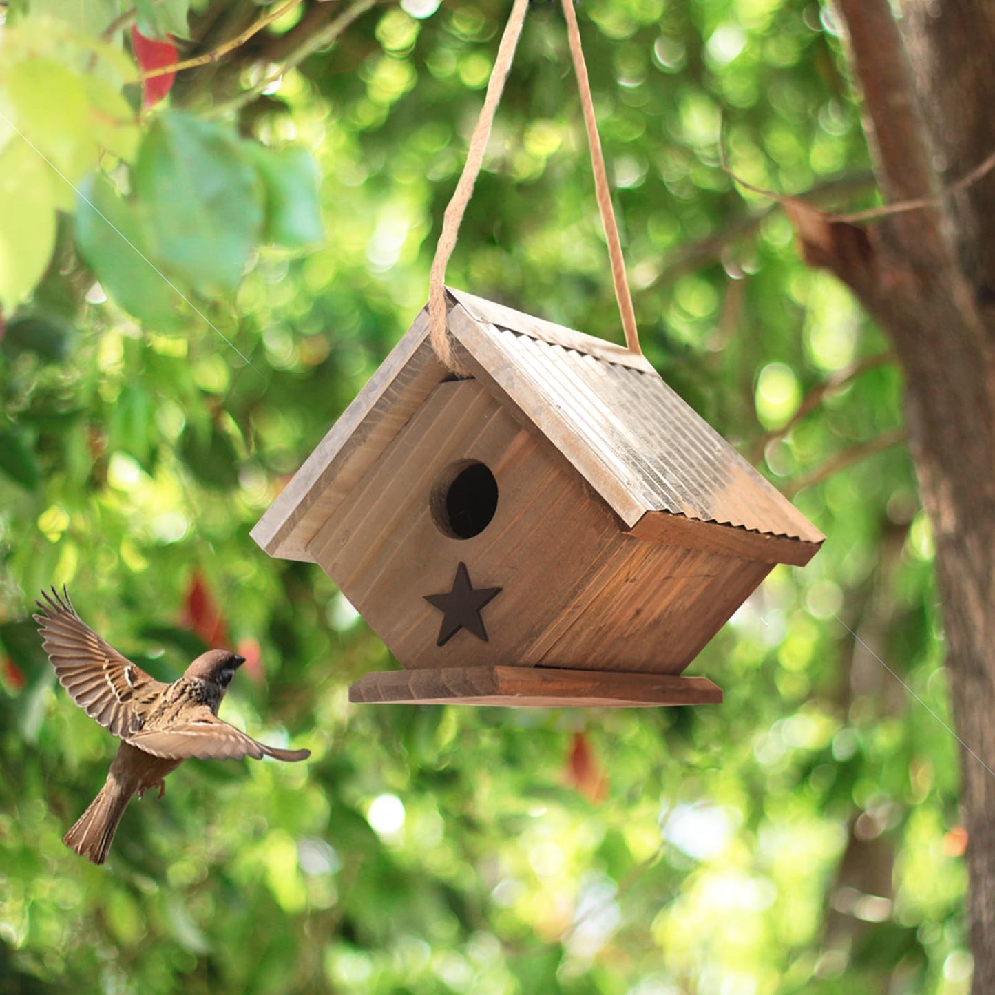 Cedar Wren House, Metal Roof Bird House for Wrens and Chickadees. Longime Lasting and Easy Cleaning; 5 Years Outdoor Performance, Weatherable. Wooden Birdhouse Bird House