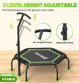 BCAN 48" Mini Trampoline, 550 LBS Fitness Trampoline with T-Adjustable Handle Bar, Bungees, Stable & Quiet Exercise Rebounder for Adults Indoor/Garden Workout-Green BCAN