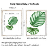 SESEAT 11x14 Picture Frame, Display Pictures 8x10 With mat or 11x14 Prints Without Mat, Wall Mounting, Distressed White, 6PCS SESEAT