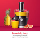NutriBullet Juicer Centrifugal Juicer Machine for Fruit, Vegetables, and Food Prep, 27 Ounces/1.5 Liters, 800 Watts, Gray NBJ50100 NutriBullet