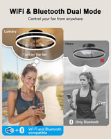 Lumary Smart WiFi Ceiling Fans with Lights, RGBAI Flush Mount Ceiling Fans with Lights and Remote, Dual Lighting Mode Modern LED Low Profile Ceiling Fan for Bedroom Works with Alexa Google, 20in Black Lumary