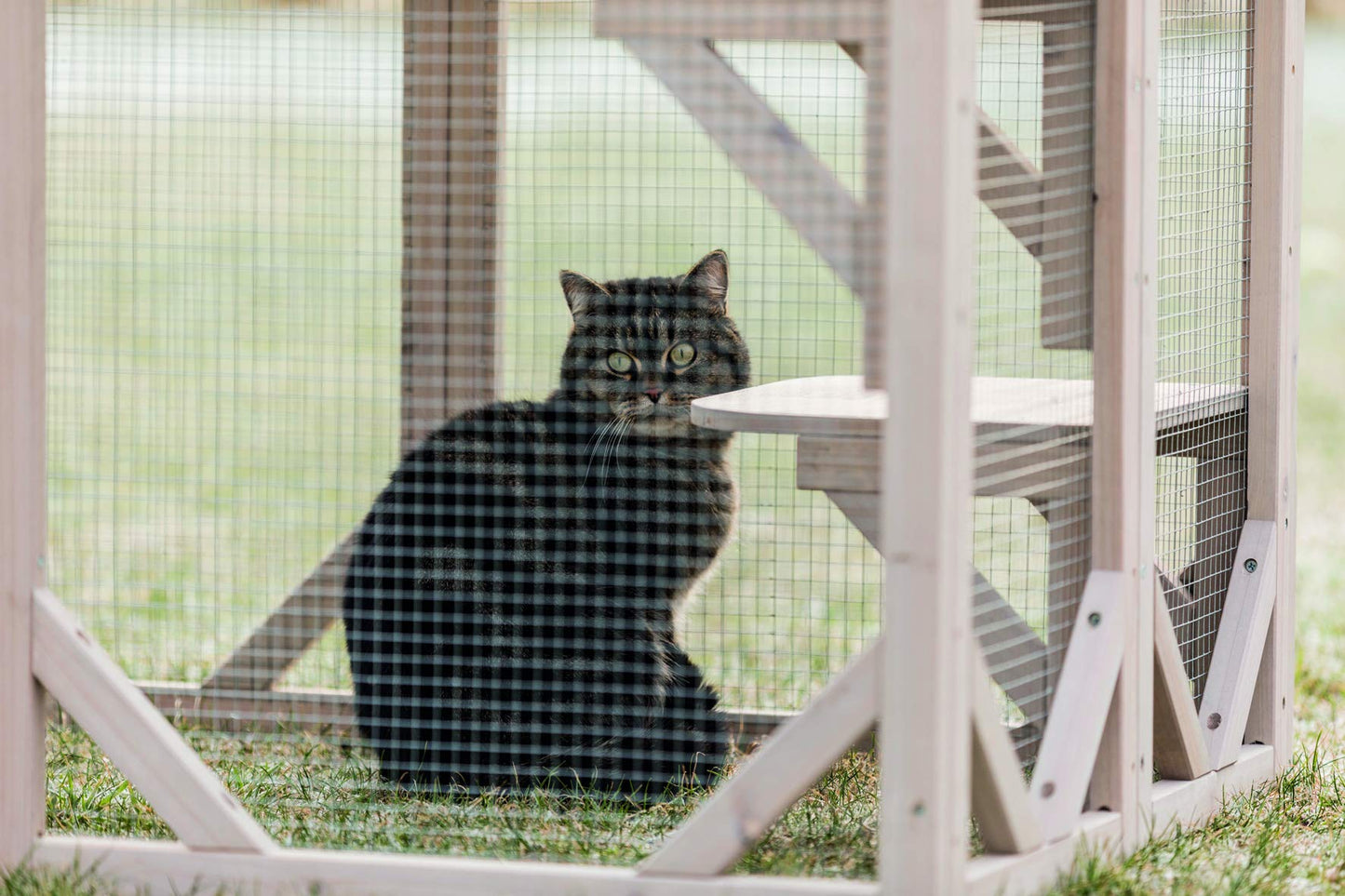 TRIXIE Outdoor Catio, Cat Enclosure with Roof, Large Cat Playpen with Platforms, Cat House, Cat Cage, Run