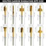 Renyu 10 Pcs HSS Router Carbide Engraving Bits, 1/8"(3mm) Shank Carbide Engraving Bit Set for Carving, Drilling, DIY Woodworking, Trimming RENYU
