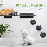 Cat Wall Shelves, Wood Cat Shelves for Wall with Feeding Station, Wall Furniture with 3 Steps, Cat Shelves and Perches Climbing Shelf, Lover Gift, 3 Board ANRXNCY