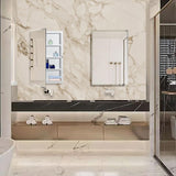 IDYLLOR Plastic Medicine Mirror Cabinet for Bathroom 16 x 26 inch, Surface and Recessed Mount IDYLLOR