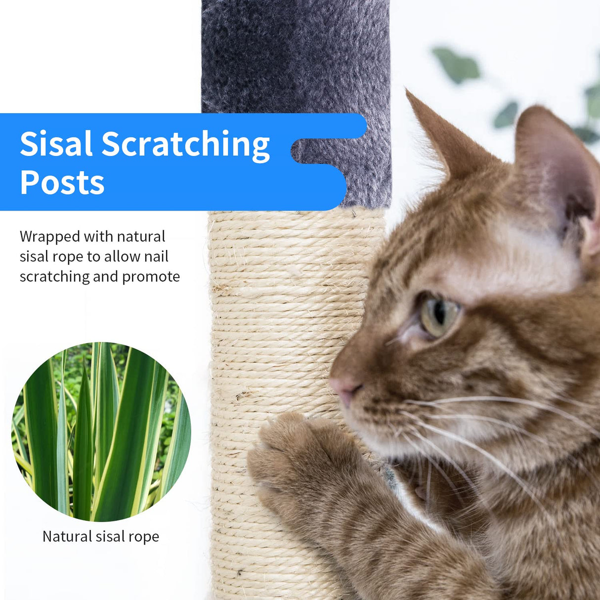 BestPet 36 inches Cat Tree for Indoor Cats Cat Tower with Scratching Posts Multi-Level Cat Furniture Condo with Ramp, Perch Spacious Cat Cave & Funny Toys for Kittens House,Dark Grey BestPet