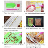 Diamond Art Kits for Adults,Diamond Art(Street Flower Shop),Diamond Dots Paintings for Beginners,Gem Art Painting Kits12x16inch,30% More Coloured Diamonds Leimonri