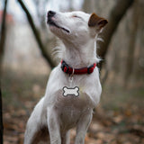 LOGOFUN 4Pcs Sublimation Blank Dog Tag Bone Paw Shaped Pet Tags Blank Name Tag Craft Pet Supplies (Black) LOGOFUN