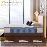 Elynight Twin Mattress,10 Inch Twin Size Mattresses for Advanced Gel Memory Foam, Soft and Comfortable, Medium Firm, Pressure Relief, CertiPUR-US Certified Elynight