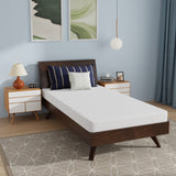 PayLessHere 6 Inch Twin Gel Memory Foam Mattress Bamboo Charcoal Infused Mattress in a Box Medium-Firm Temperature Regulation CertiPUR-US Certified,Fiberglass Free,White PayLessHere