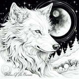 Wolves Of The Aurora: A Fantasy Coloring Book About Wolves Majosta