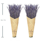 Timoo Dried Lavender Bundles 100 Natural Dried Lavender Flowers for Home Decoration, Photo Props, Home Fragrance, 2 Bundles Pack Timoo
