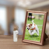 Pet Hair Memorial Bottle,Glass Vial for Ashes Or Hair Dog Or Cat Keepsake Pet Loss Gift (Bottle) free-space