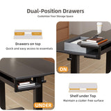 Seang Electric Standing Desk with 2 Drawers, Adjustable Standing Desk with Storage Shelf, Height Adjustable Stand up Desk for Home Office with 3 Presets & 2 Hooks,48 Inch, Black Seang
