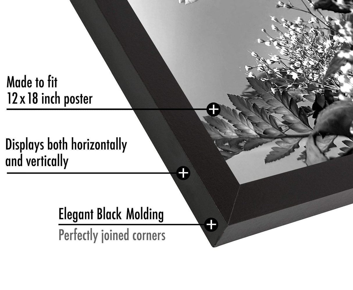 Americanflat 12x18 Poster Frame with Polished Plexiglass - Black Picture Frame with Engineered Wood - Epic Collection - Wide Photo Frame for Wall Display Americanflat