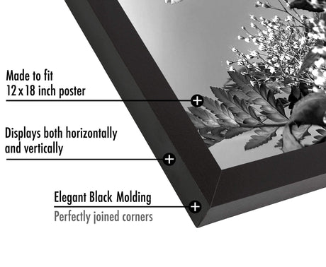 Americanflat 12x18 Poster Frame with Polished Plexiglass - Black Picture Frame with Engineered Wood - Epic Collection - Wide Photo Frame for Wall Display Americanflat