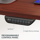 FLEXISPOT E6 Dual Motor 3 Stages Standing Desk 72x30 Inch Whole-Piece Board Height Adjustable Desk Electric Stand Up Desk Sit Stand Desk(Black Frame FLEXISPOT