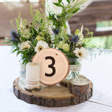 80 PCS 3.2-3.6inch Unfinished Wood Slices, Natural Wood Slices, Predrilled with Hole Wood Slice for DIY Arts Craft Christmas Ornaments GNIEMCKIN