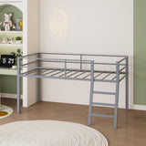 Lutown-Teen Low Metal Twin Loft Bed with Ladder and Guardrail for Kids or Teens, Space Saving Loft Bed Twin Size for Small Bedroom, Grey Lutown-Teen