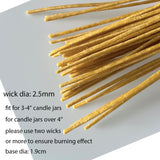 Candle Wicks 100 PCS 8 inch Hemp Candle Wicks 2.5mm Organic Beeswax Candle Wicks for Candle Making Edible Candle Wick for Butter Candle Hemp Candle Wick Phinicco