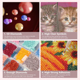 FHBUBPUP Diamond Painting Kits for Adults, Cat Diamond Art Kits, Full Drill Round Gem Art, DIY Flower Paint with Diamond Beads Crafts for Home Wall Decoration Gifts 12x12 inch FHBUBPUP
