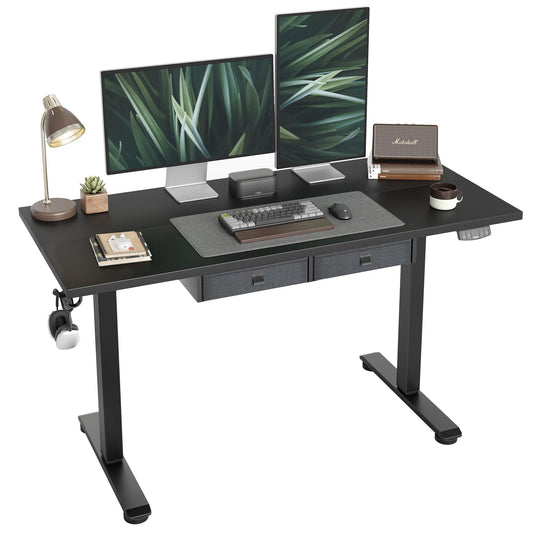 Agilestic Standing Desk with 2 Drawers, Adjustable Height Electric Desk with Storage, 55 x 24 Inches Sit Stand Up Computer Table for Work Office Home, Black