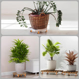 1.5 Inch Casters, ASHGOOB Caster Wheels/Casters Set of 8, 360° Swivel Universal Plate Caster Wheels for Storage Box/Small Furniture/Kitchen Appliances, Orange Polyurethane (PU) Castors (8 Pack) ASHGOOB