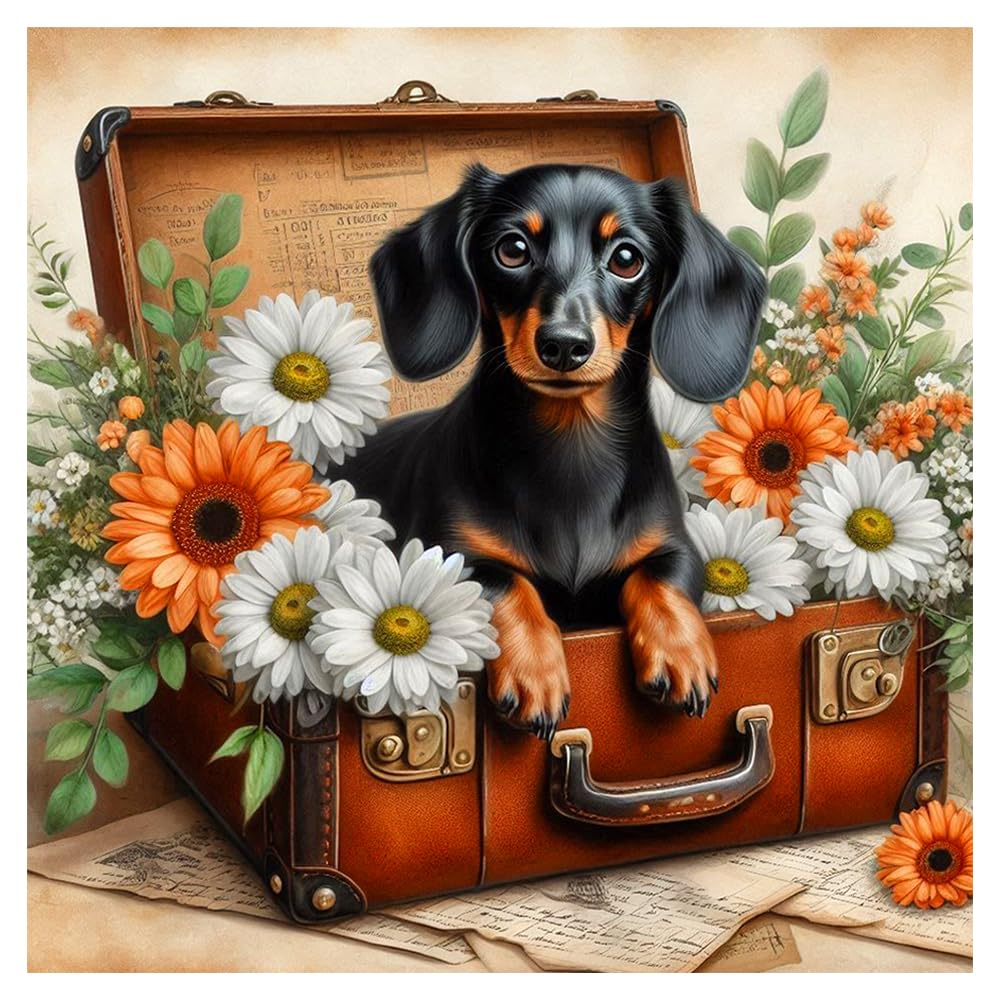 FHBUBPUP 5D Dog Diamond Painting Kits for Adults, Dachshund Diamond Art Kits for Beginners, DIY Full Drill Round Diamond Dot Gem Art, Craft Gift Suitable for Home Wall Decoration 12×12Inch FHBUBPUP