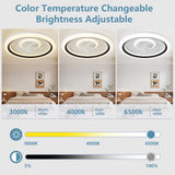 Ceiling Fans with Lights and Remote, 20 Inch Low Profile Ceiling Fans,DC Quiet Motor Stepless Dimmable 6 Speeds,Modern Flush Mount Fan Lights for Bedroom and Living Room, Black Spnoid