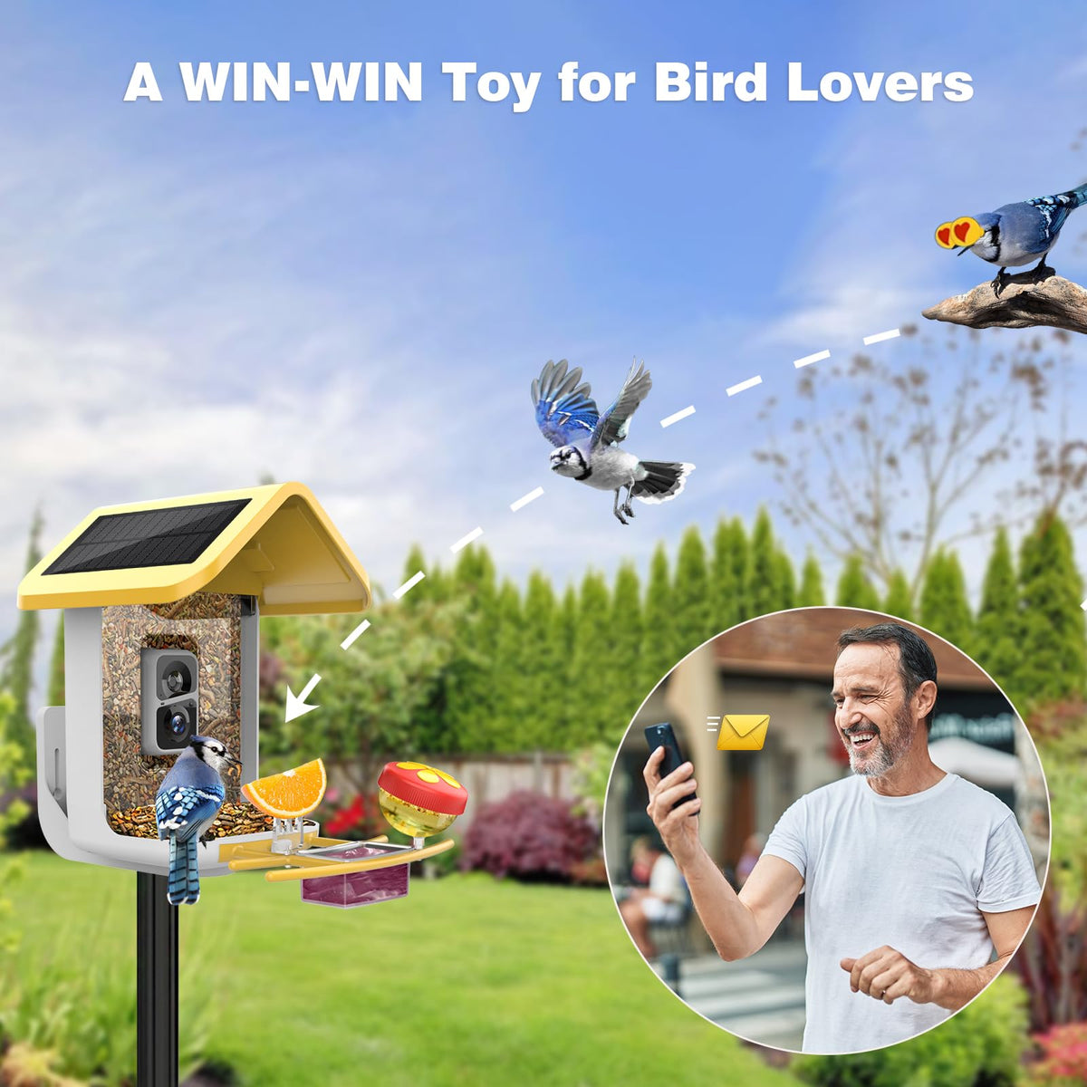 Viubird Bird Feeder with Camera: Solar Powered Smart Bird Camera Feeder 2K Live Feed for Backyard - AI Identify Auto Capture Videos, Gifts for Birdlovers Mom Dad, 2.4GHz WiFi VIUBIRD