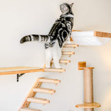 FUKUMARU Cat Climbing Shelf Wall Mounted, Four Step Cat Stairway with Jute Scratching for Cats Perch Platform Supplies FUKUMARU