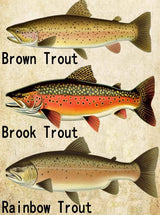 Diamond Art Painting Kit for Adults Retro Trout Fly Fishing Fishing Enthusiast Salmon Category by Number Kits Gem Art Wall Home Decor(Canvas 18.8 x15.8inch) WoodArtSupply