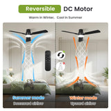 OSTIVE Ceiling Fans with Lights and Remote: 52 Inch Modern Black Ceiling Fan, Low Profile Flush Mount, Quiet Reversible DC Motor & 3CCT Dimmable LED for Bedroom Living Room Kitchen Indoor Outdoor OSTIVE