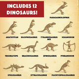 MindWare Dig It Up! Dinosaur Skeleton Eggs Excavation kit - Comes with 12 Clay Eggs, 12 Chisel Tools and 12 Instruction Sheets MindWare