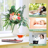 12 Pcs Mixed Real Dried Eucalyptus Leaves Stems - Preserved Eucalyptus Branches, Silver Dollar Eucalyptus, Seeded Eucalyptus Bouquets for Vase Floral Arrangements Wedding Greenery Decor Glicrili