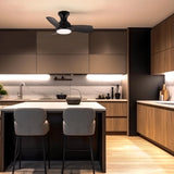 Consciot Ceiling Fan, 30 Inch Ceiling Fan With Lights Remote Control, Black Low Profile Modern Ceiling Fan, Flush Mount, Reversible Quiet DC Motor, 6 Speed, Dimmable, Kitchen Bedroom Patio Damp Rated Consciot