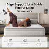 Novilla Full Size Mattress, 14 Inch Full Mattresses in a Box with Smarts™ Pocket Coil for Pressure Relief, Medium Plush Foam and Spring Hybrid Colchones with CertiPUR-US Certified Novilla