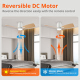 TALOYA 42inch Ceiling Fans with Lights and Remote Control, Quiet DC Motor, Double-faced Blades, Modern Low Profile Ceiling Fan for Bedroom, Living Room, Dining Room, Office TALOYA
