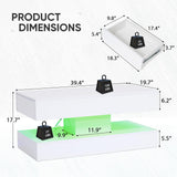 Verano Garden Modern High Gloss LED Coffee Table with Storage, 2-Tier Center Table with Open Display Shelf & 2 Sliding Drawers, Rectangle Coffee Tables for Living Room, Bedroom, White Verano Garden